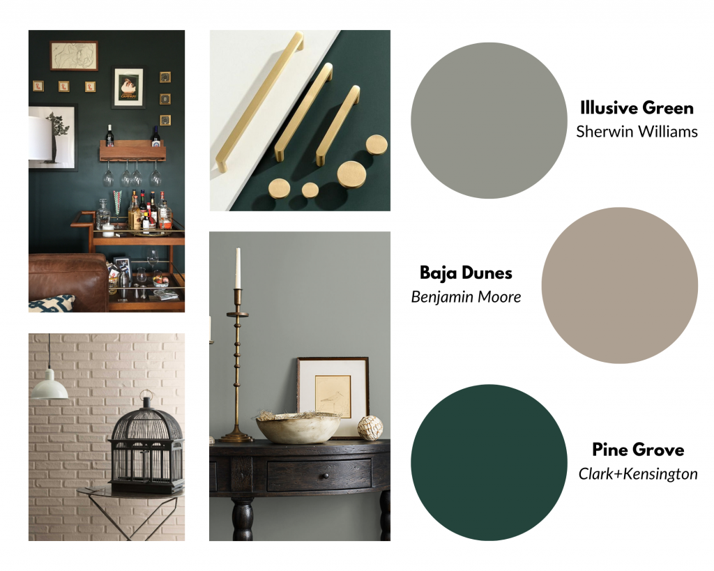 Color of the Month March 2023: Clark+Kensington Pine Grove